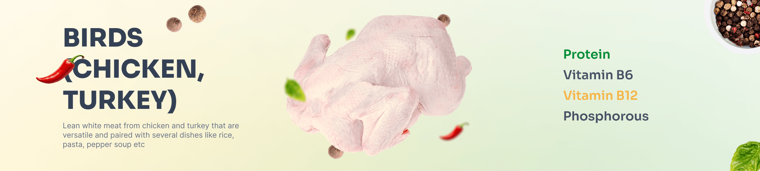 Banner Bird