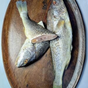 Croaker Fish (per Kg)