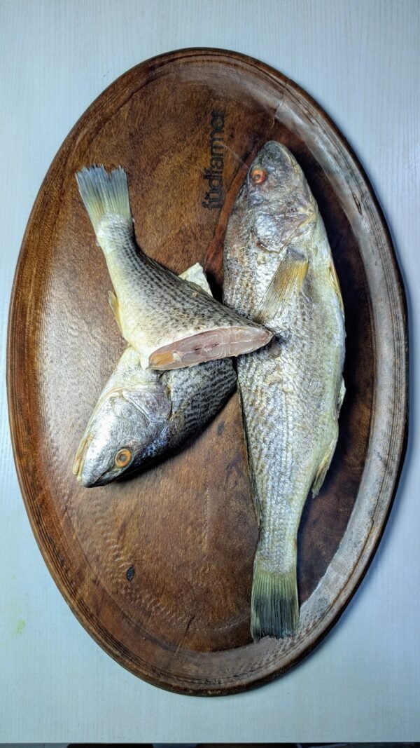 Croacker *Per Kg