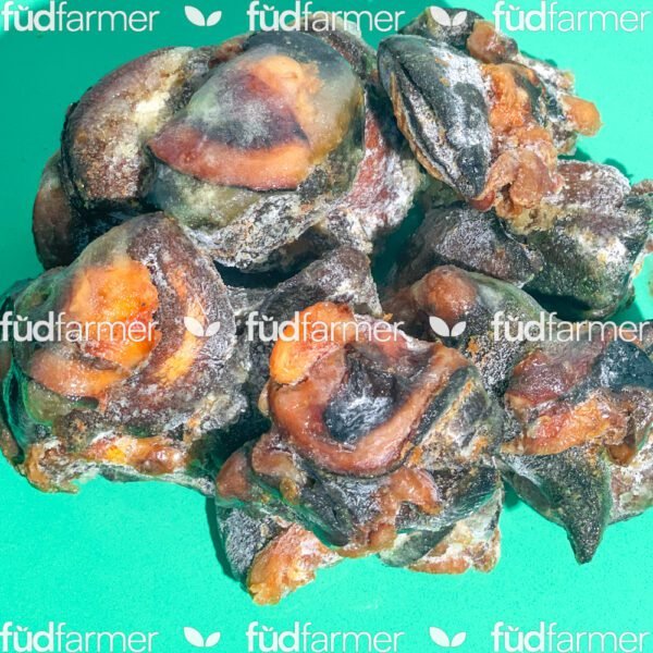 Medium Snail  Per Pack